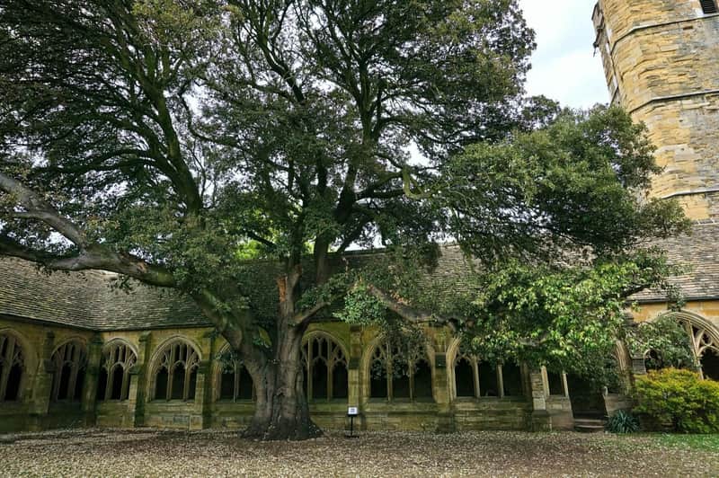 Cloisters